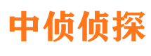 涉县市私家侦探